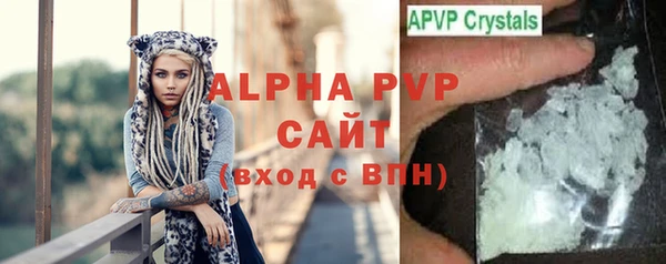 мдпв Ельня