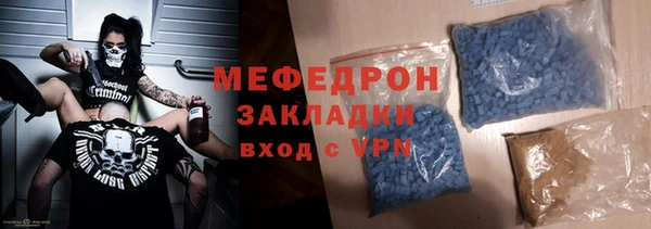 мдпв Ельня