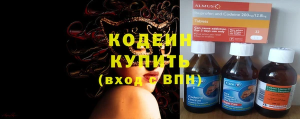 мдпв Ельня