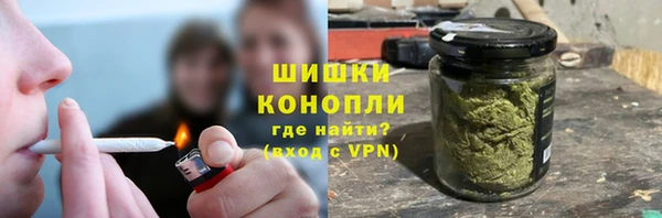 мдпв Ельня