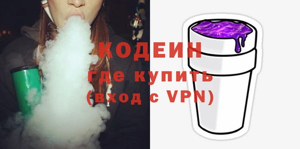 мдпв Ельня