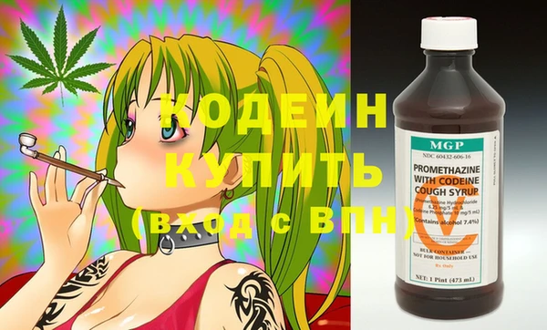 мдпв Ельня