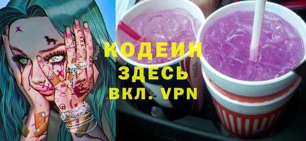 мдпв Ельня